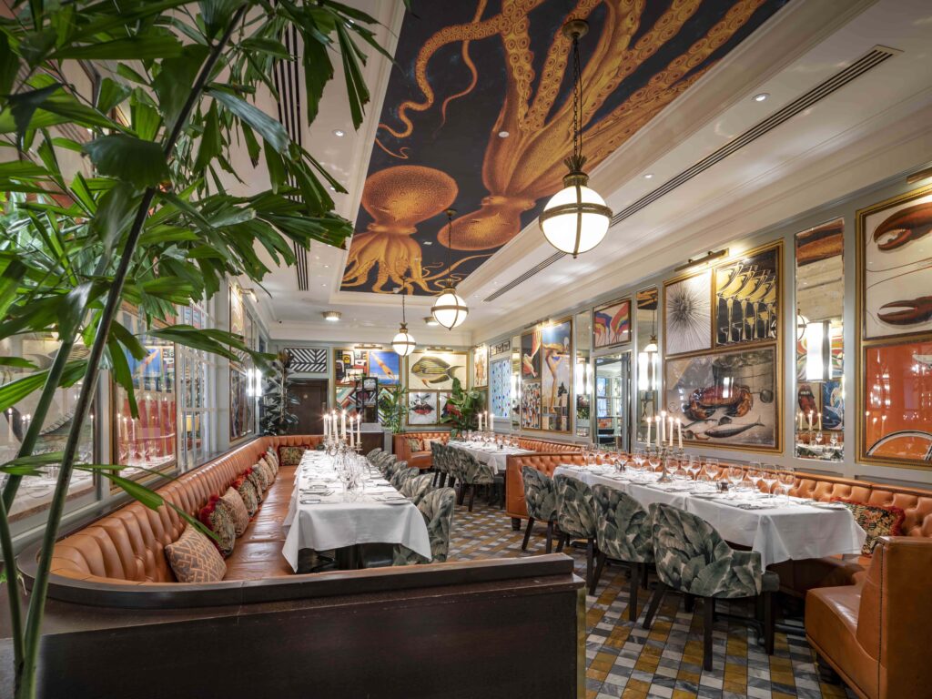 Interior of The Octopus Room