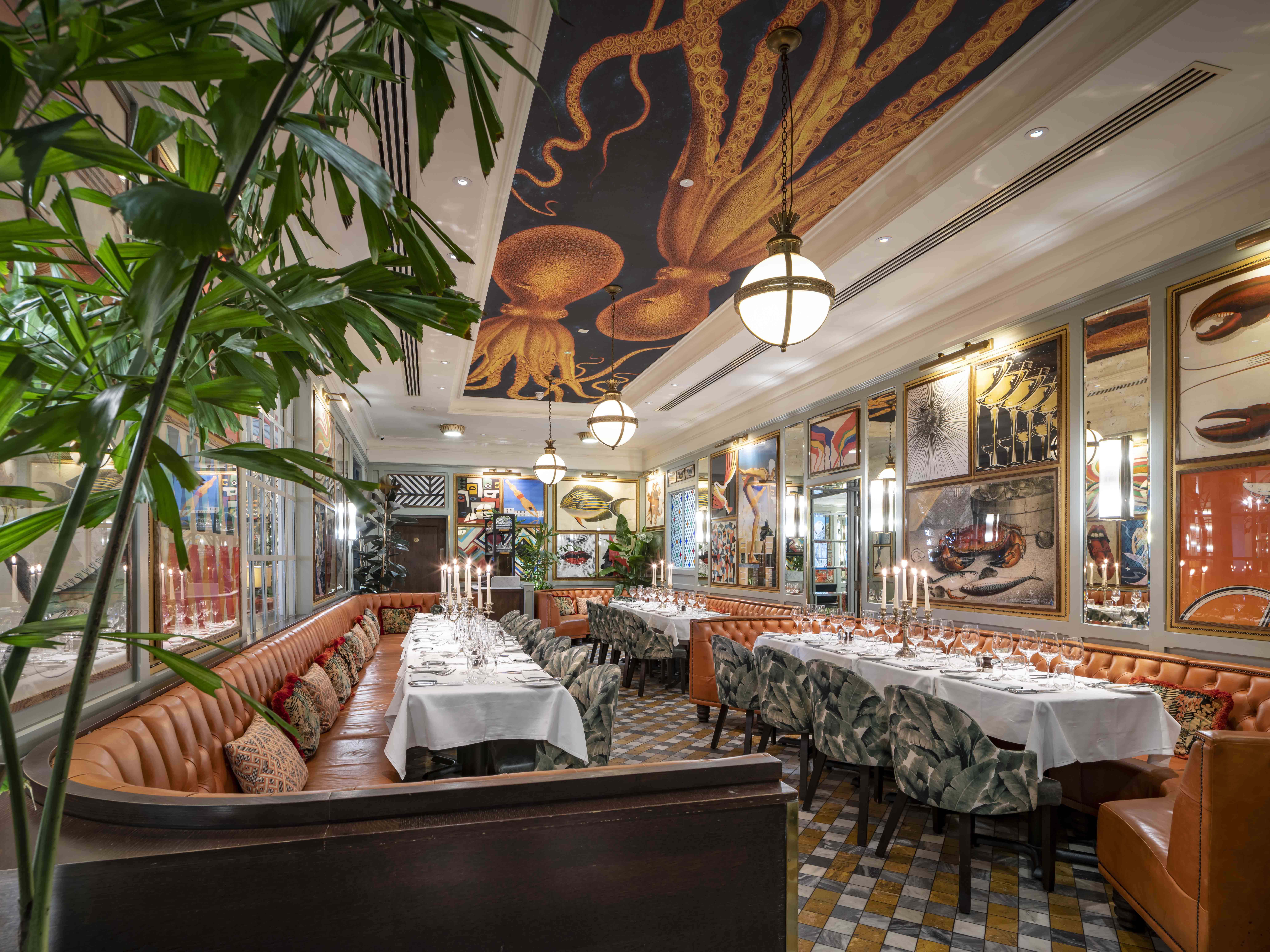 Interior of The Octopus Room