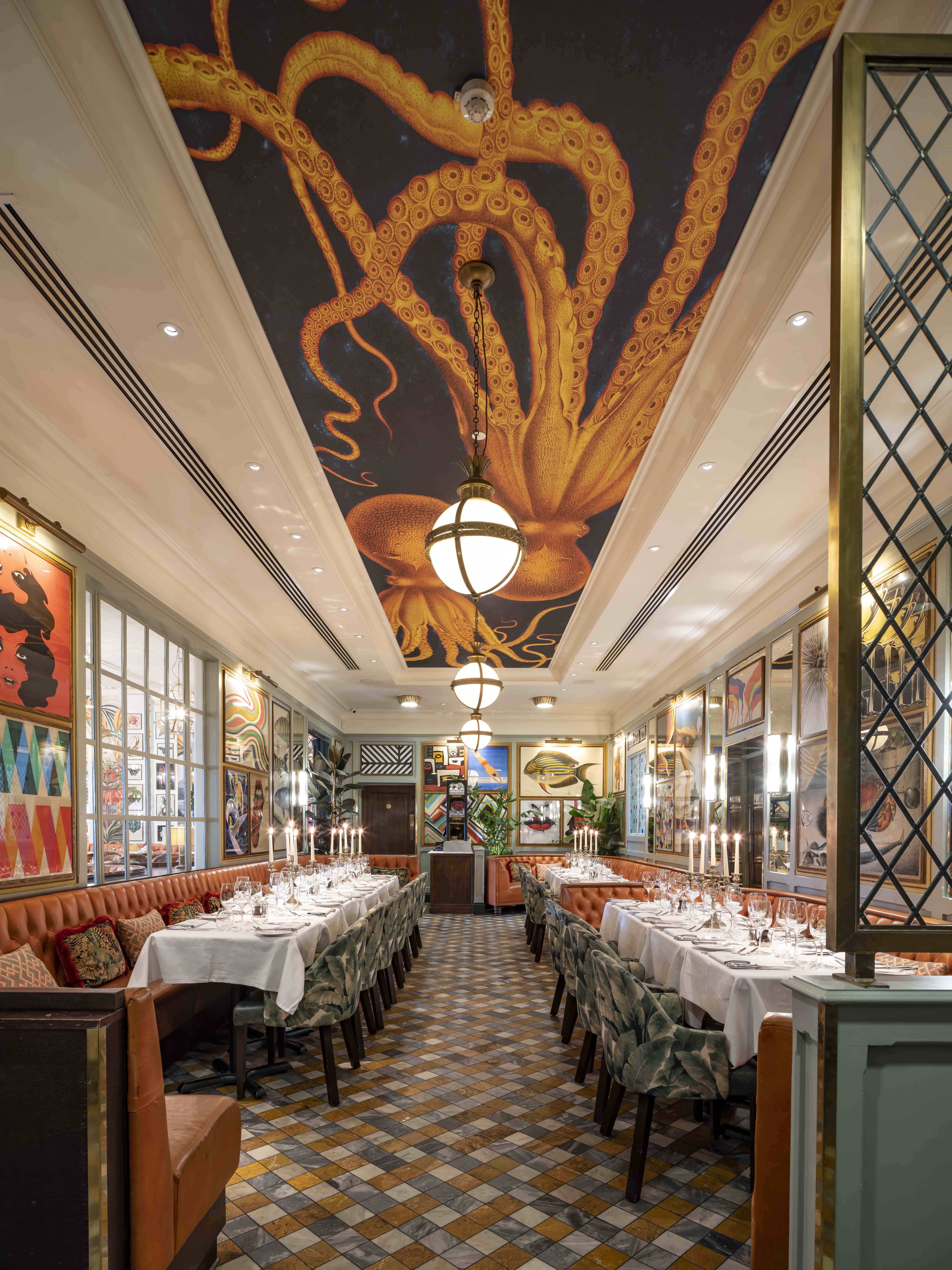 Interior of The Octopus Room