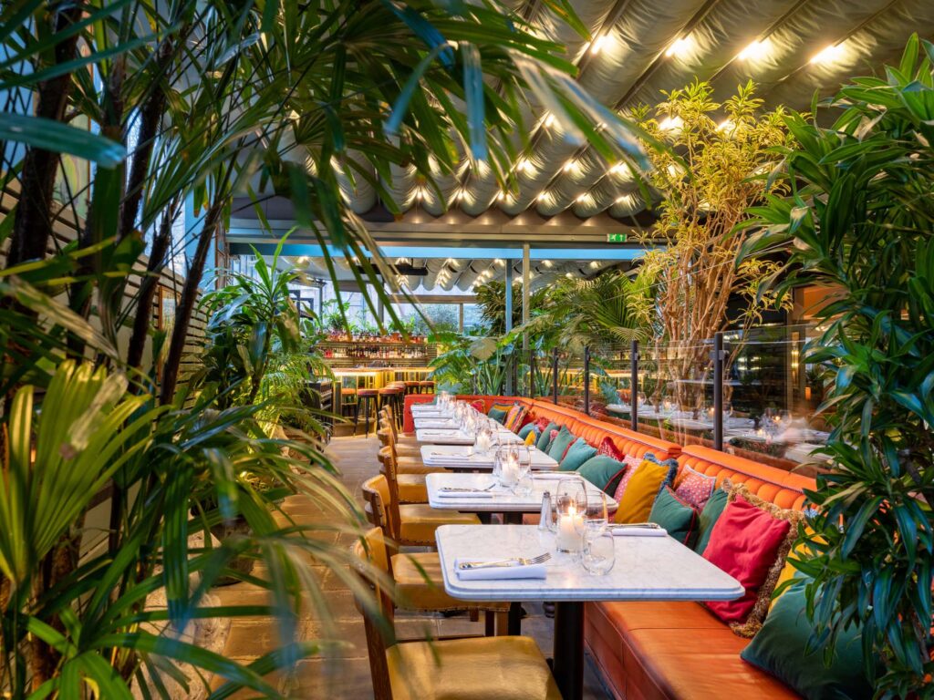 Interior of The Ivy City Garden