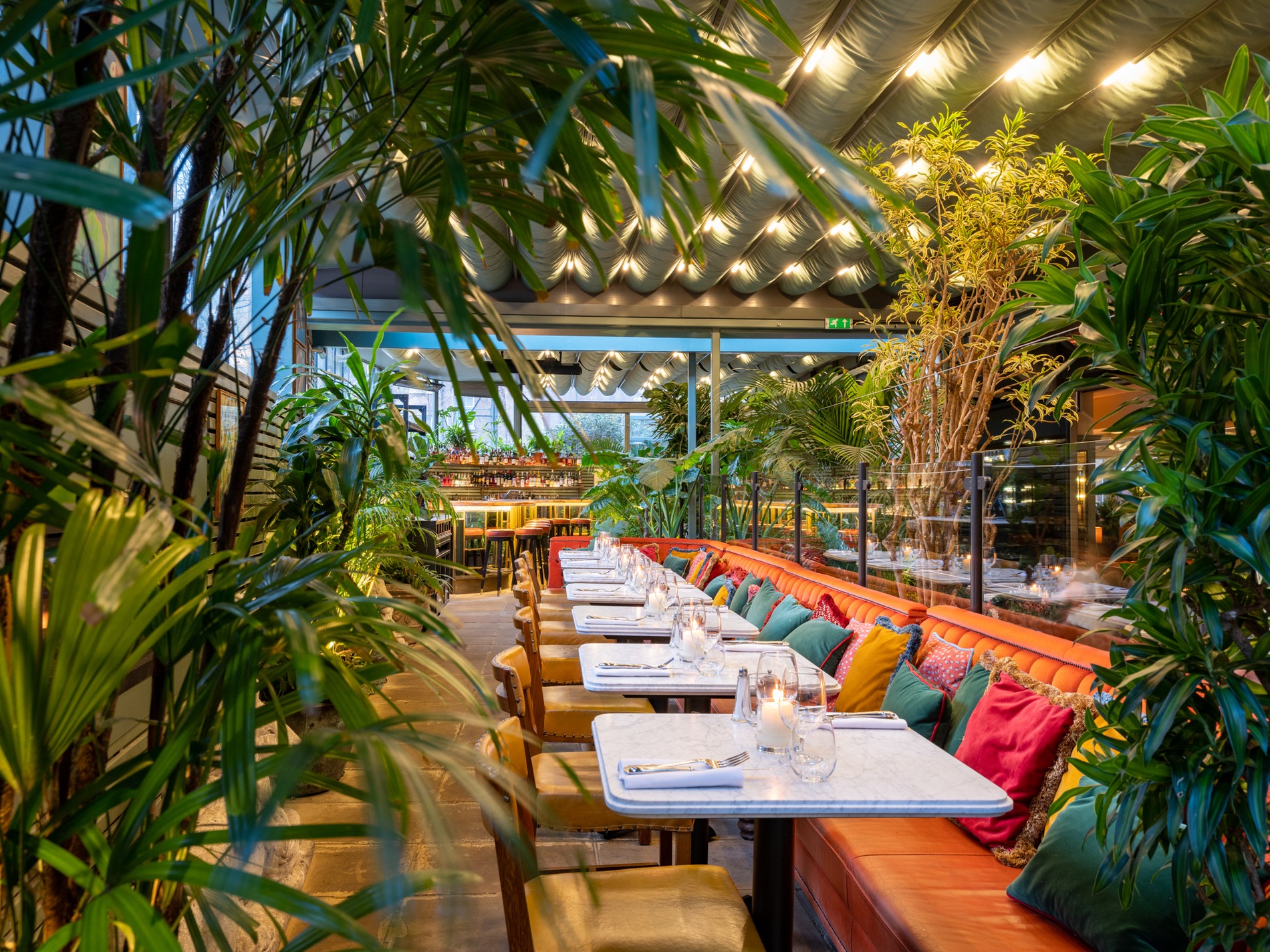 Interior of The Ivy City Garden.