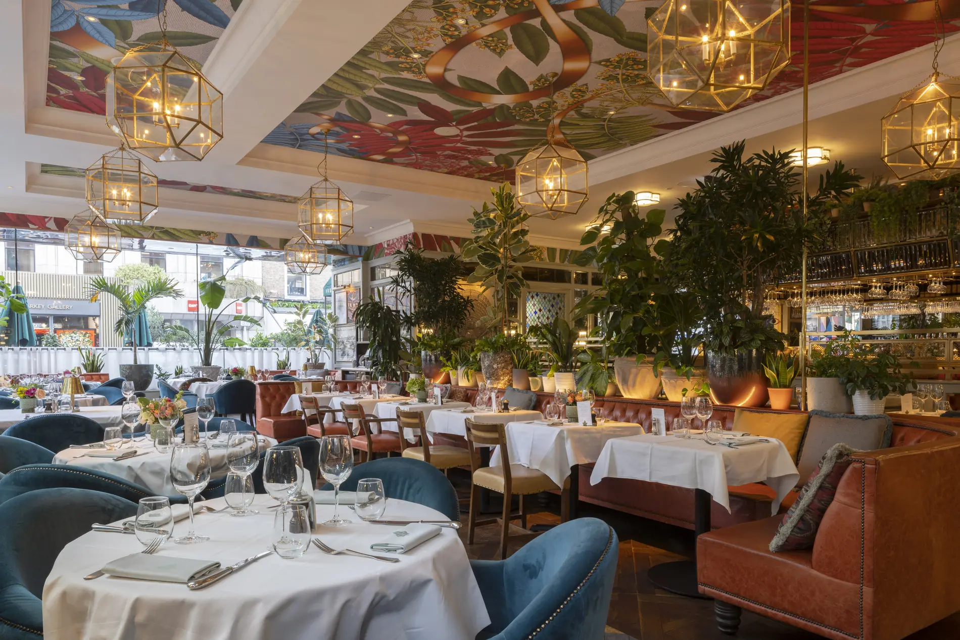 The Ivy Dawson Street, Dublin