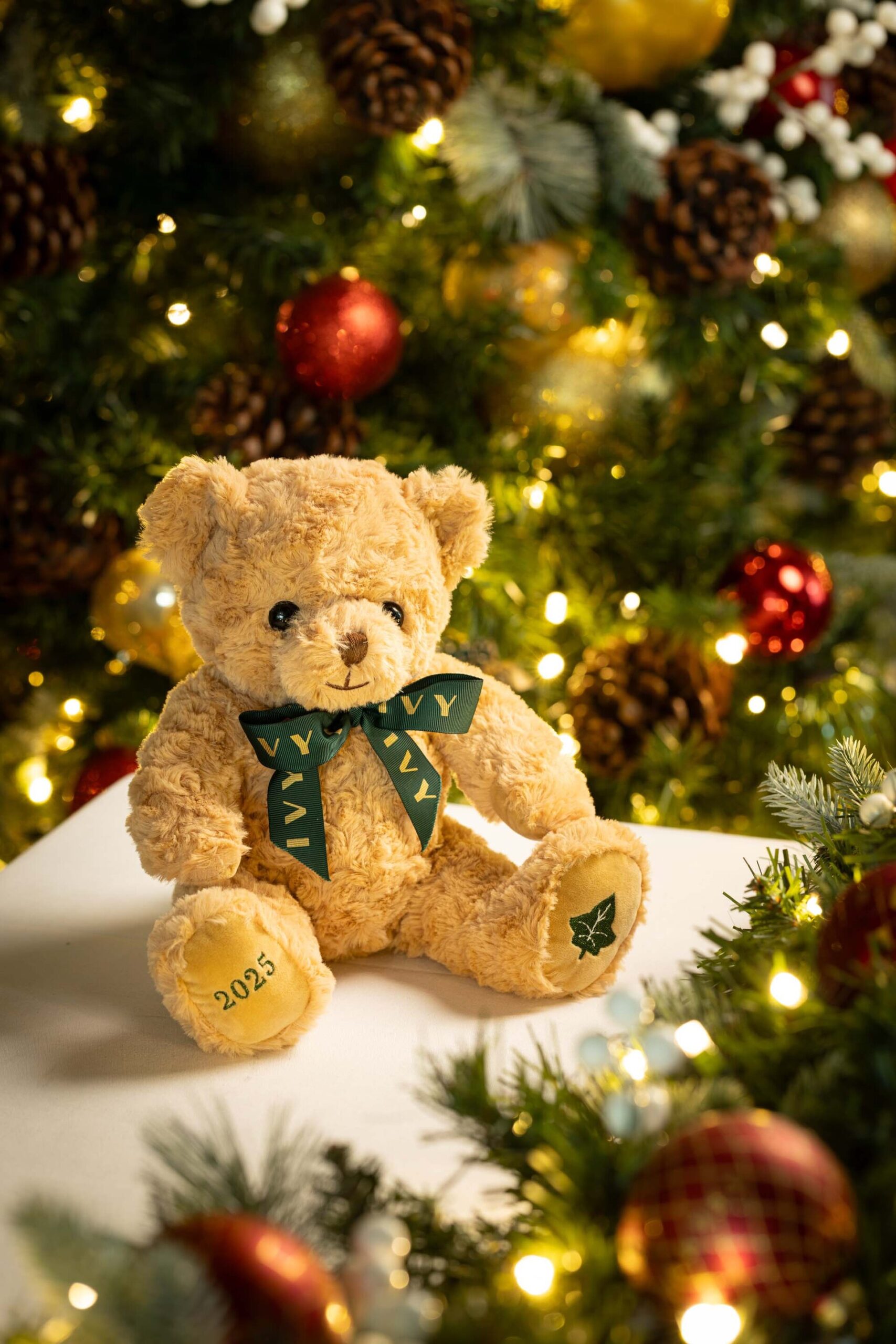 christmas teddybear