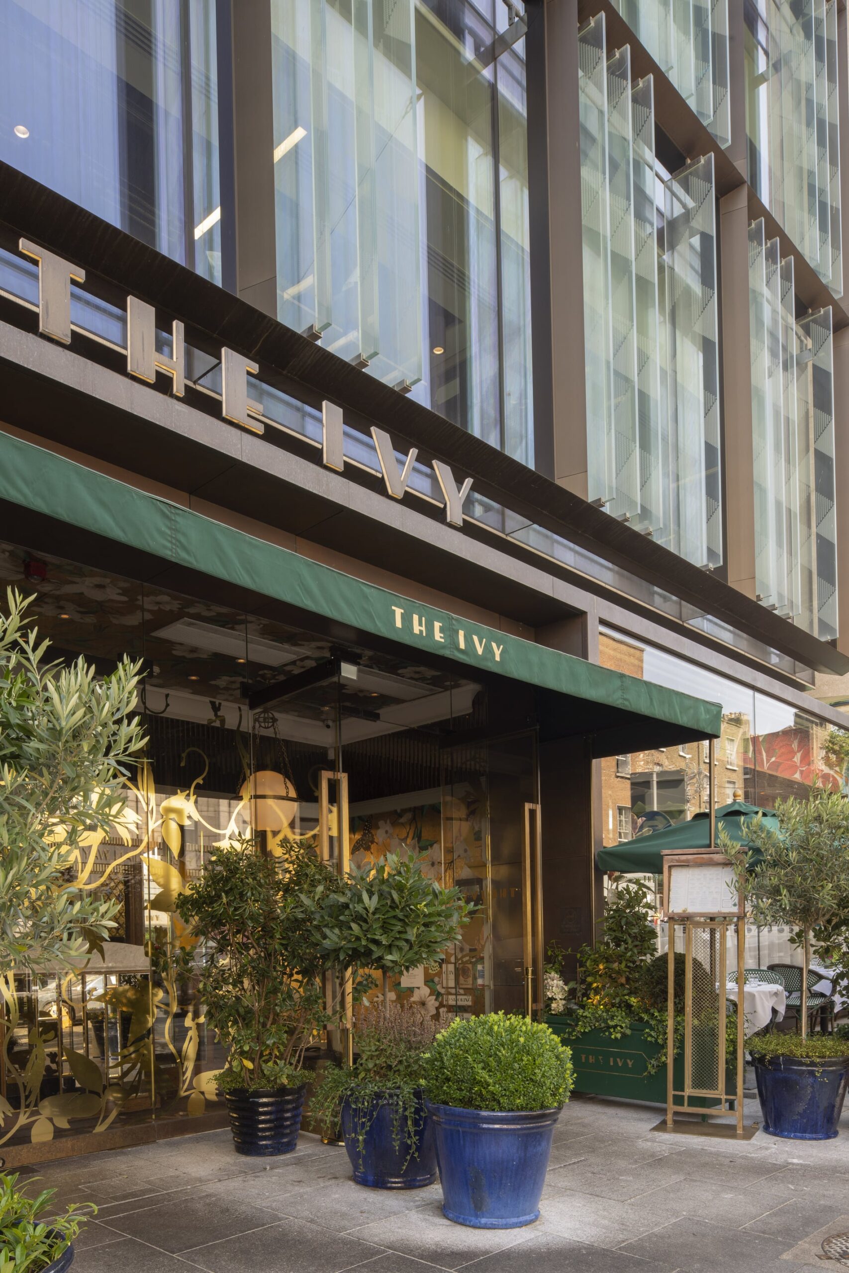 step into the ivy dawson street in dublin