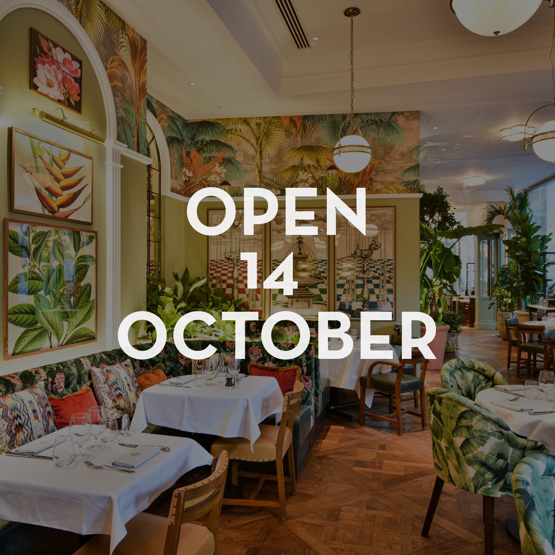 opening oct 14 nottingham