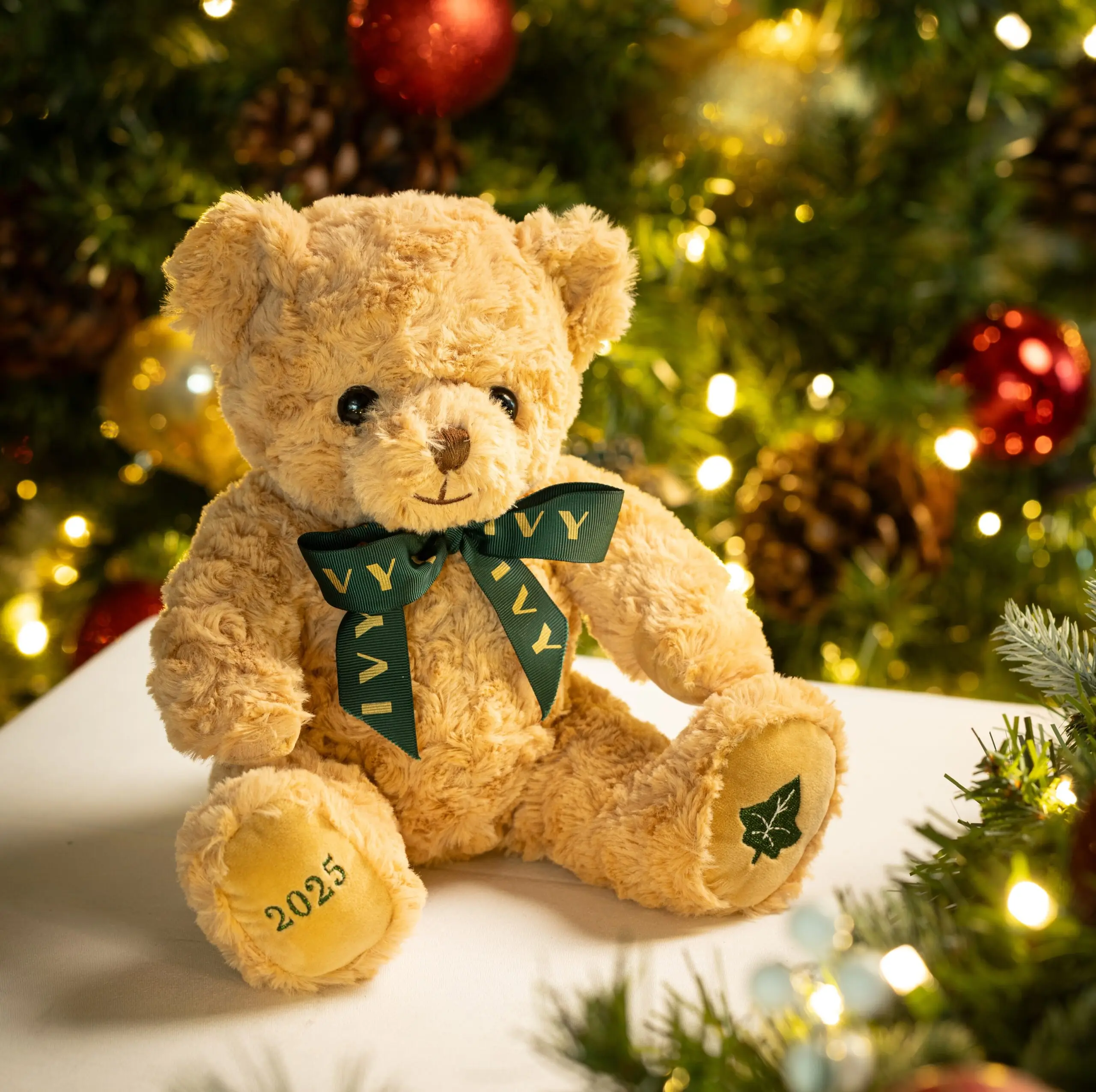 The Ivy Teddy Bear