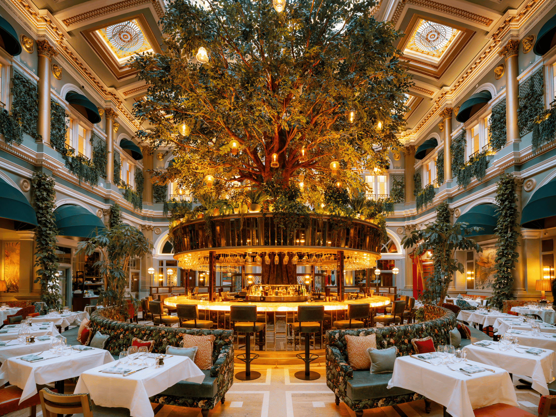 ivy glasgow brasserie restaurant interior